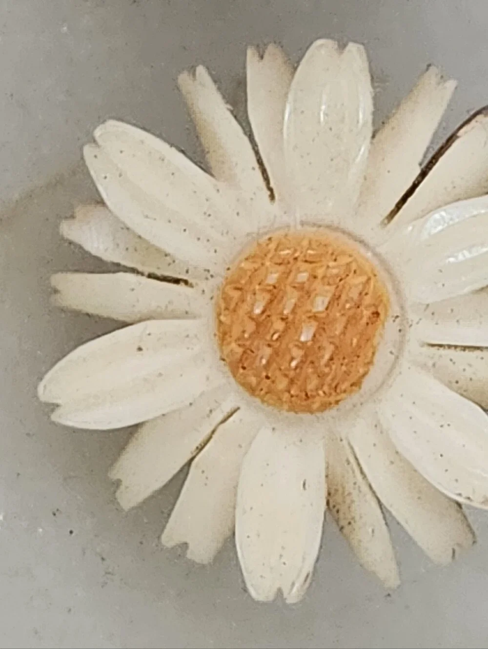White and Yellow Daisy Screw Back Earrings - Vintage
